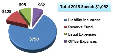 2013 Budget / Spend