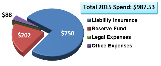 2015 Budget / Spend